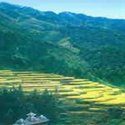 天柱县