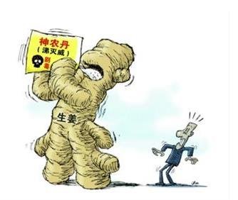 神农丹姜,毒生姜的一种,即非法使用剧毒农药神农丹的生姜.