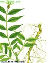 食品安全最新资讯-快科技--科技改变未来