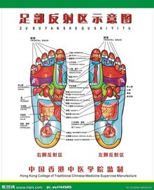 足部反射区按摩法_360百科