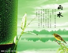 雨水墙纸
