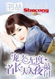 宠妻无度:首长大人夜敲门