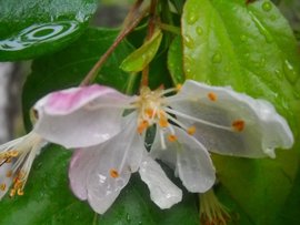 风云小说阅读网