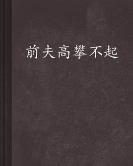 前夫高攀不起