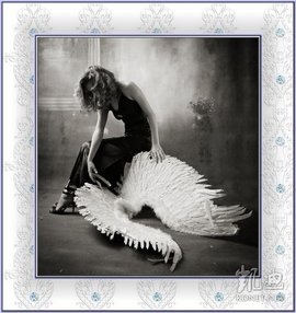 my love will get you home