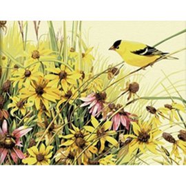 后庭花·莺啼燕语芳菲节