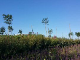 定边火车站公园