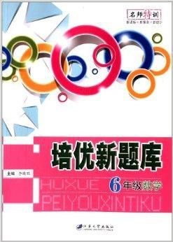名师特训·培优新题库:6年级数学