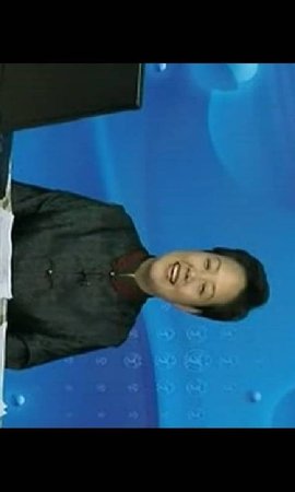 小学语文视频教程集