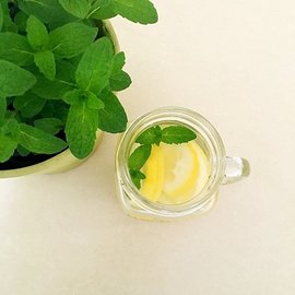 菠萝薄荷水果茶
