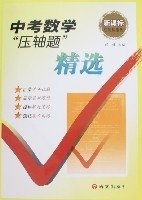 新课标中考数学压轴题精选