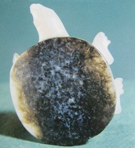 商俏色玉鳖经_360百科