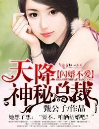 闪婚不爱,天降神秘总裁