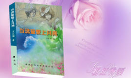 当流星爱上月亮