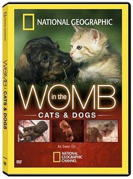 子宫日记:猫与犬