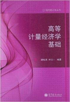 高等计量经济学基础