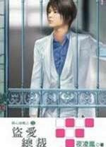 甜心恶魔2盗爱总裁