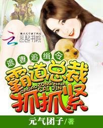 逃妻追缉令:霸道总裁抓抓紧