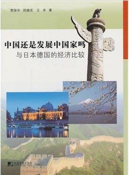 中国还是发展中国家吗