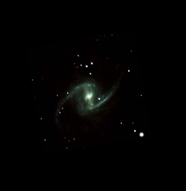 NGC1365