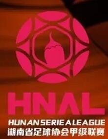 湖南省足球协会甲级联赛