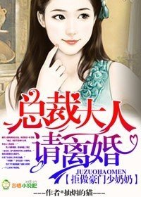 拒做豪门少奶奶,总裁大人请离婚