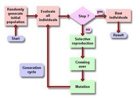 遗传算法及其应用
