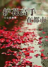 貌似纯洁:护花高手在都市