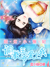 顽劣小懒妃:调教摄政王