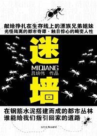 挣扎在生存线上的漂族人生:迷墙