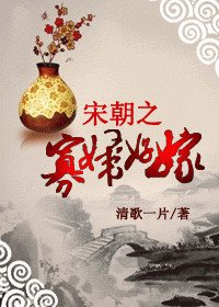 大叔放开我:宋朝之寡妇好嫁