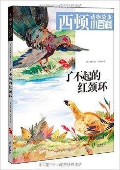 西顿动物故事小百科:了不起的红颈环