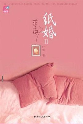 纸婚2:求子记