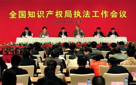 全国知识产权局系统政府门户网站管理办法