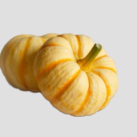 超级迷你小南瓜