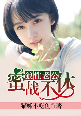 狼性总裁蜜战不休