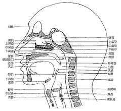 喉头送话器怎么改装-