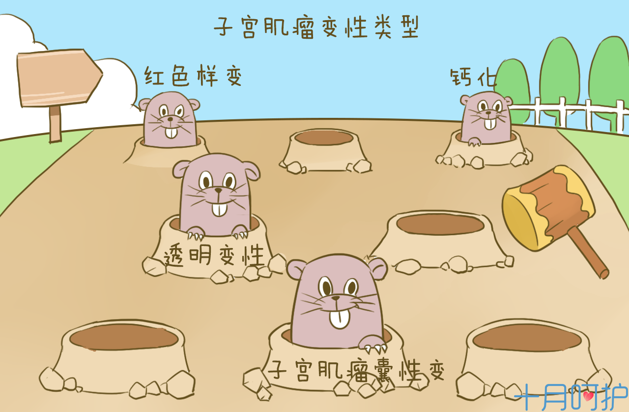 什么情况下需要保守治疗 t018b207719b4723513.png?size=1280x839