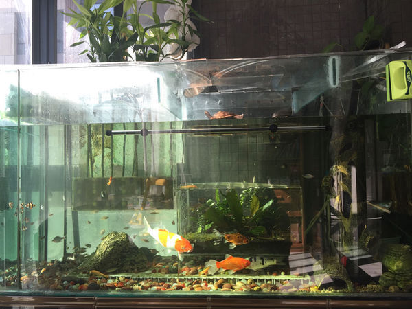 的,都是第一次弄,用的是20mm浮法玻璃,尺寸是