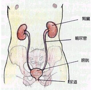 360搜索