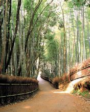 姚思廉 (557年--637年)。字简之,一说原名简,字思廉 ...