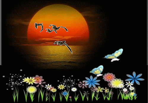 499_348gif 动态图 动图