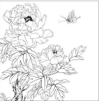 画牡丹花铅笔画视频