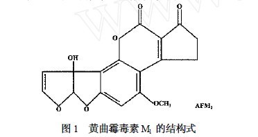 黄曲霉毒素检测方法的研究进展